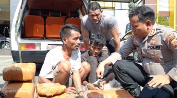 Komitmen Tanpa Tawar, Sat Intelkam Polres Aceh Tenggara Terus Memburu Jaringan Ganja Lintas Wilayah